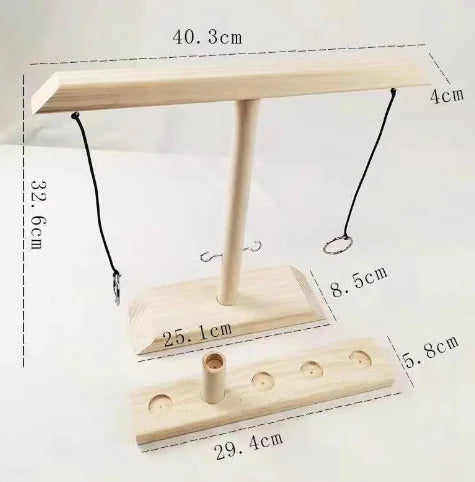 Indoor and Outdoor Ring Game